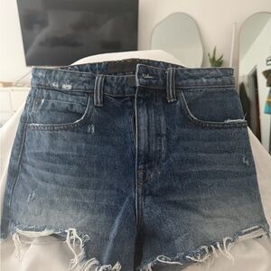 Alexander Wang Distressed Blue Jean Shorts
